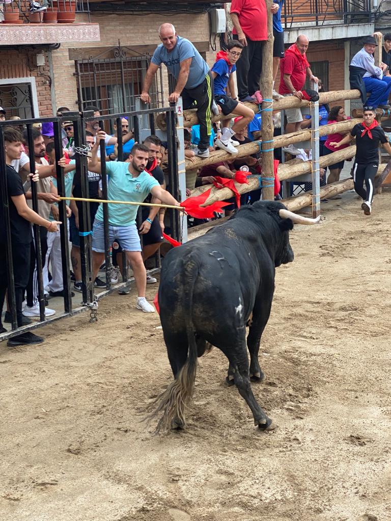 Fiestas de Hinojosa de San Vicente